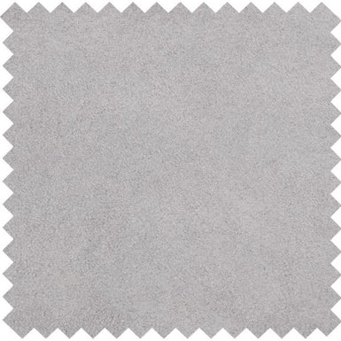 Silver FS901