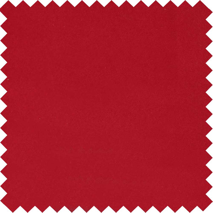 Ruby MV31