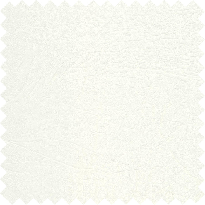 Polar White PFL10