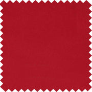 Ruby MV31