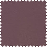 Aubergine PFL44