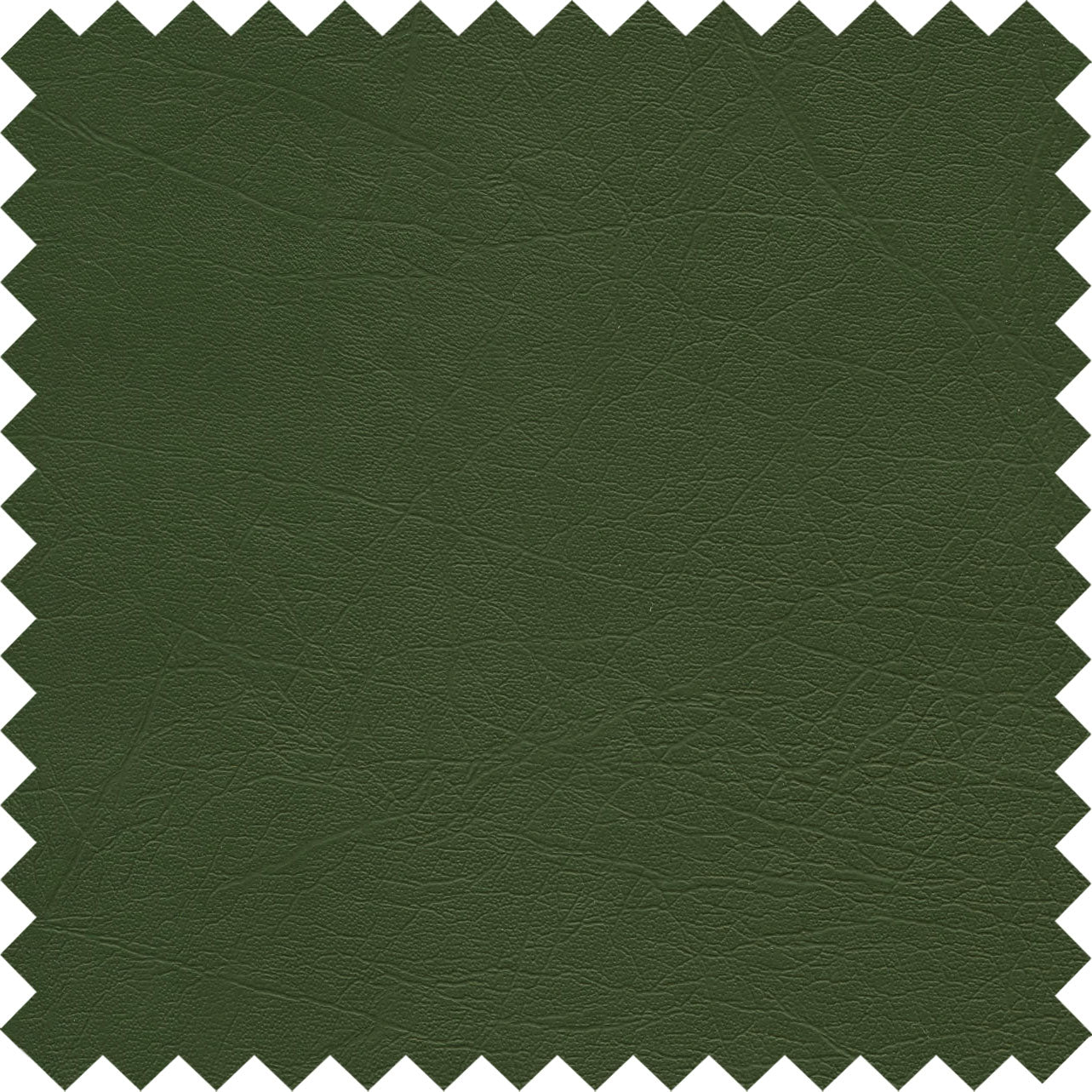 Conifer PFL50