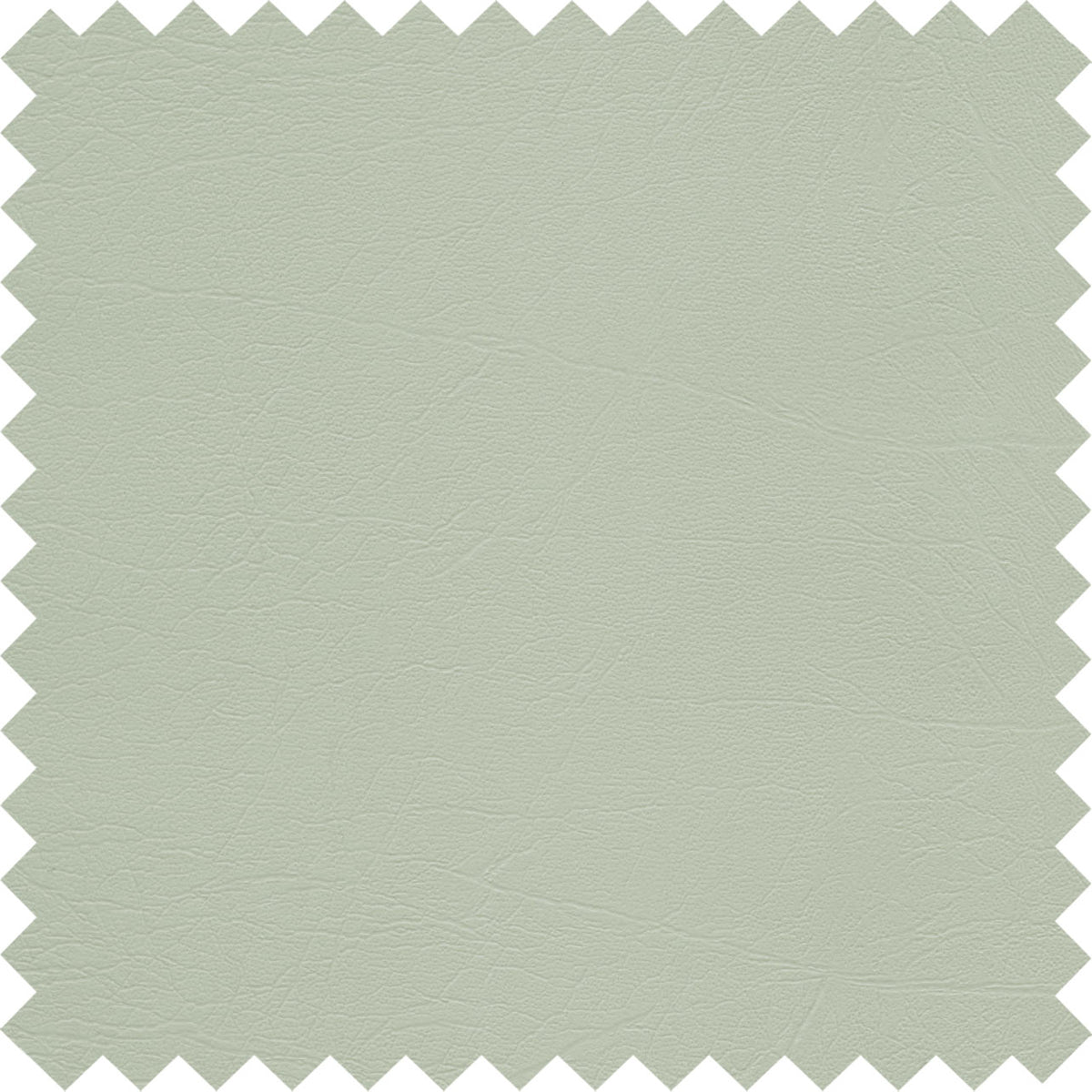 Pebble PFL69