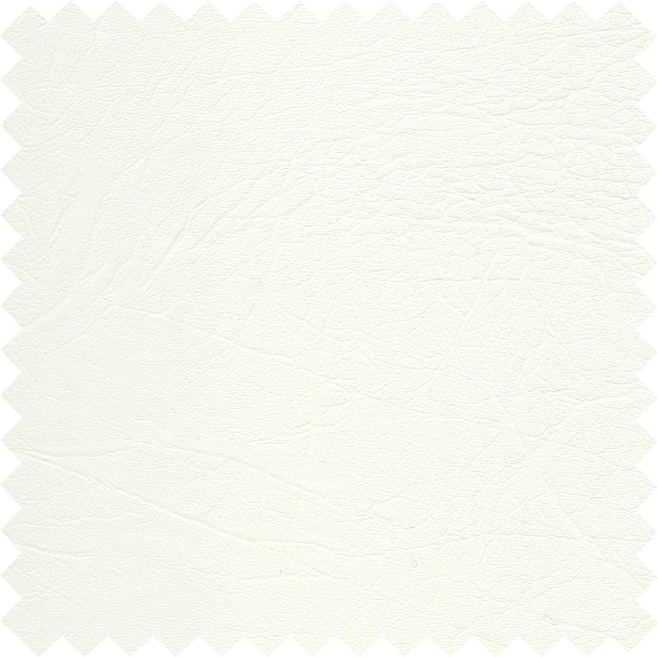 Polar White PFL10