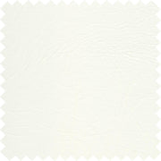 Polar White PFL10
