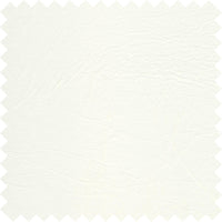 Polar White PFL10