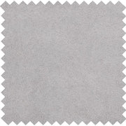 Silver FS901