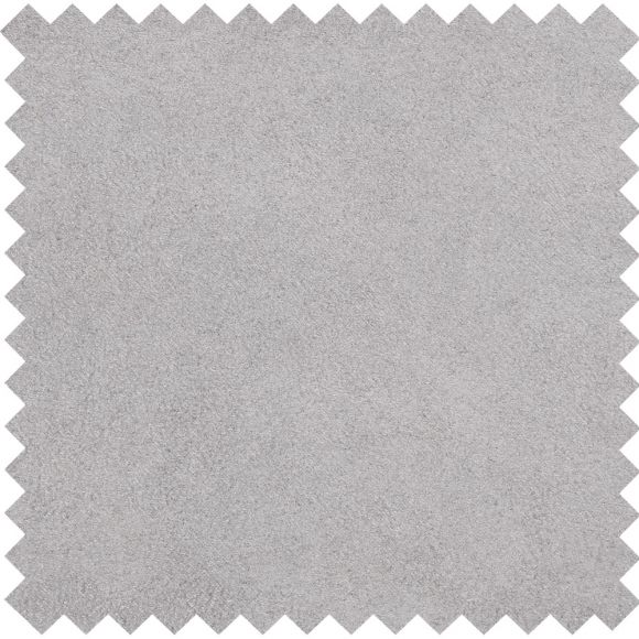 Silver FS901