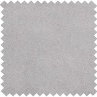 Silver FS901